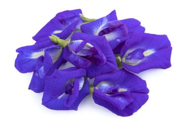 Bezelye çiçek beyaz izole