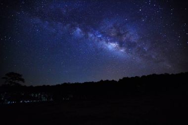 Samanyolu ve ağaç Phu Hin Rong Kla Milli Parkı, silüeti