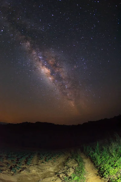 Galaxia de la Vía Láctea con estrellas sobre la montaña en Phu Hin Rong Kla Nat — Foto de Stock