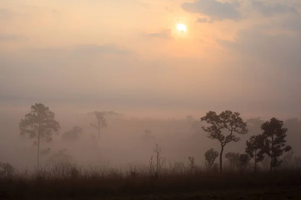 Nebliger Sonnenaufgang am Thung Salang Luang Nationalpark — Stockfoto