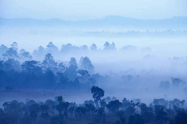 Nebbia nella foresta a Thung Salang Luang National Park Phetchabun, Tha Foto Stock Royalty Free