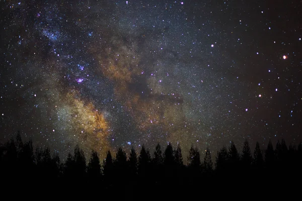 Hermosa milkyway y silueta de pino en un cielo nocturno . — Foto de Stock