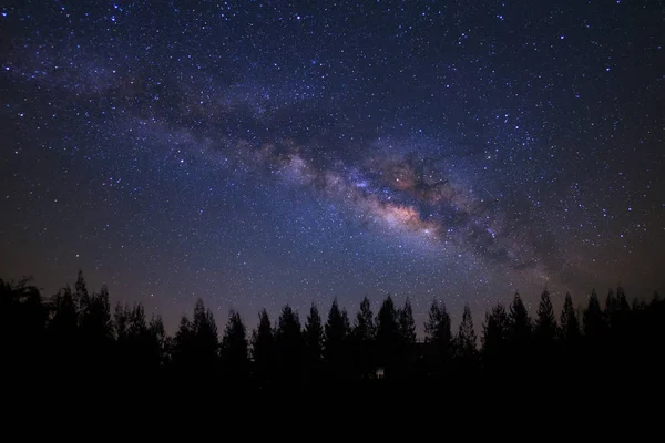 Hermosa milkyway y silueta de pino en un cielo nocturno ser — Foto de Stock