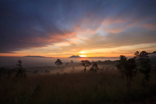 Nebliger Sonnenaufgang am Thung Salang Luang Nationalpark — Stockfoto