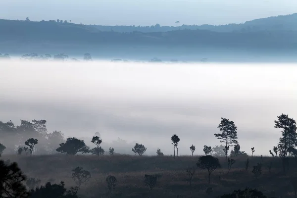 Mgła w sunrise rano o Thung Salang Luang Park Narodowy Phetc — Zdjęcie stockowe