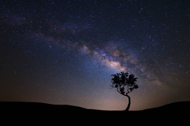 Samanyolu galaksi ve uzay dus ağacıyla manzara siluet