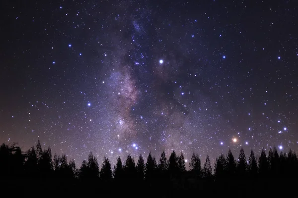 Hermosa milkyway y silueta de pino en un cielo nocturno ser — Foto de Stock
