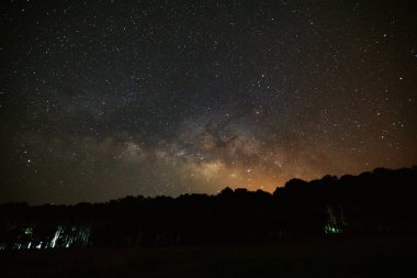 Güzel milkyway galaxy ve çam ağacı bir gecede silüeti