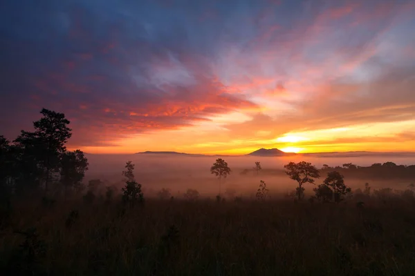 Landschaft Morgensonnenaufgang im Thung Salang Luang Nationalpark ph — Stockfoto