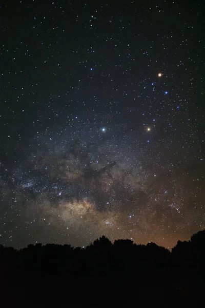 Hermosa galaxia milkyway y silueta de pino en una noche — Foto de Stock