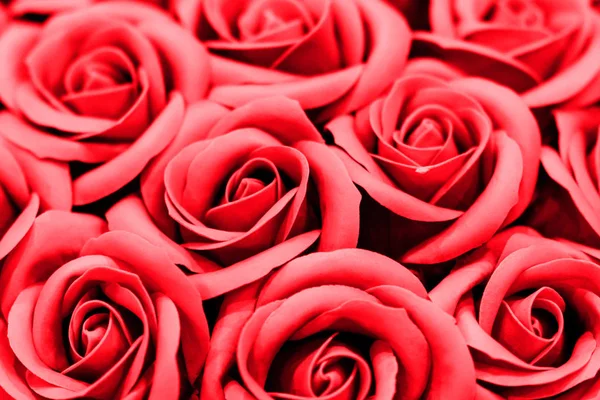 Sevgililer günü kartı - Güller ve Kalpler Romantik Arkaplanda — Stok fotoğraf
