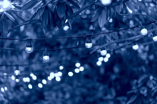 Vintage Edison gloei bollen Garland in de straat met hemel, bomen kronen en gebouwen op de achtergrond — Stockfoto