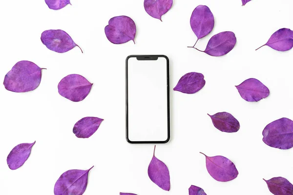 Festive floral plat composition laïque téléphone portable avec écran blanc et feuilles d'eucalyptus colorées sur fond blanc — Photo