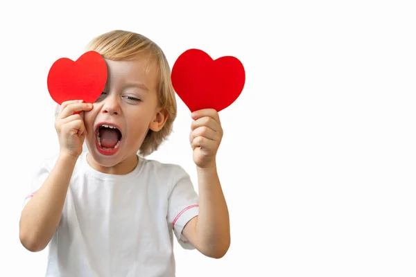 A little boy in a white shirt holds red hearts in his hands Royalty Free Stock Photos