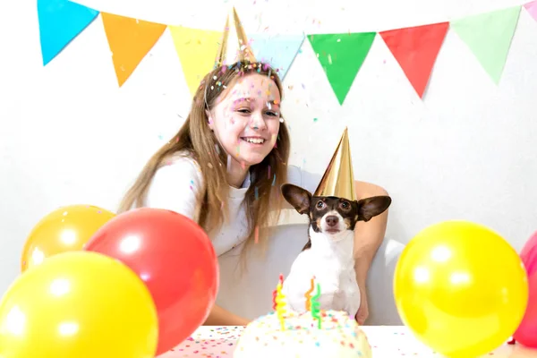 Carino piccolo cane divertente con una torta di compleanno e un cappello da festa per festeggiare il compleanno — Foto Stock