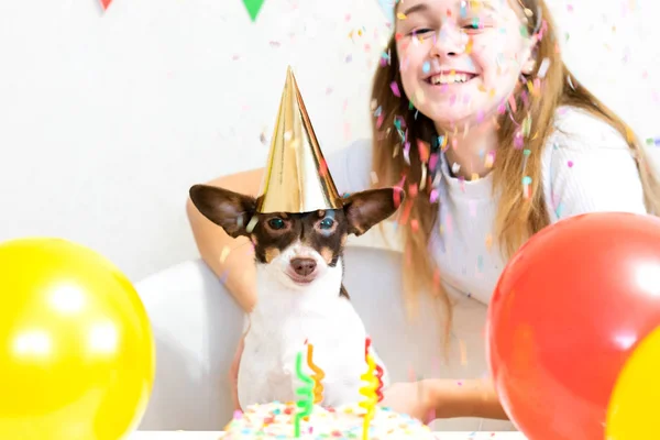 Süßer kleiner lustiger Hund mit Geburtstagstorte und Partyhut zum Geburtstag — Stockfoto