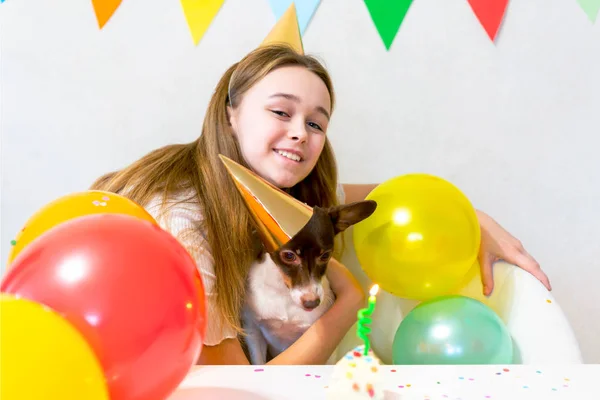 Roztomilý malý zábavný pes s narozeninovým dortem a kloboukem oslavující narozeniny — Stock fotografie