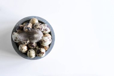 Beyaz arka planda seramik kasede bıldırcın yumurtaları ve tüyler.. 