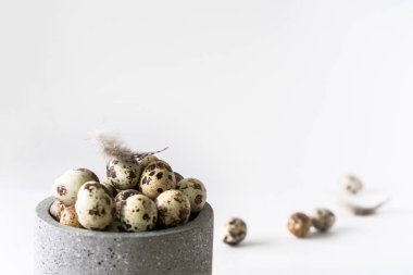 Beyaz arka planda seramik kasede bıldırcın yumurtaları ve tüyler.. 