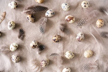 Bıldırcın yumurtası koleksiyonu, paskalya desenli. Düz yerde, üst tarafta. Paskalya konsepti.