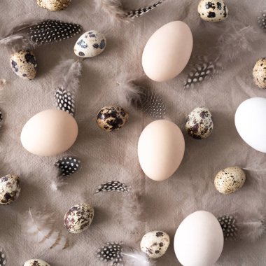 Beyaz ve kahverengi Paskalya yumurtaları, bıldırcın yumurtaları ve doğal keten arkaplanda tüyler. Paskalya arkaplanı. 