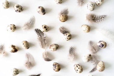 Beyaz arka planda bıldırcın yumurtası ve kuş tüyü. Düz yerde, üst tarafta. Paskalya konsepti.