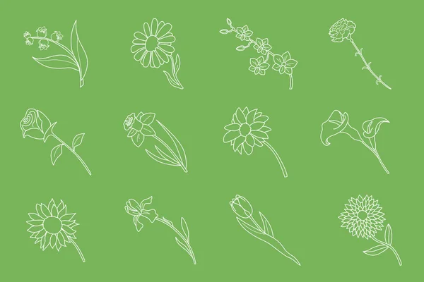 Flower Icons Set Vector Outline Symbols Rose Tulip Chamomile Carnation - Stok Vektor