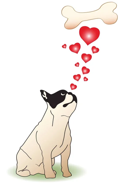 Perro San Valentín Amor Con Hueso — Vector de stock