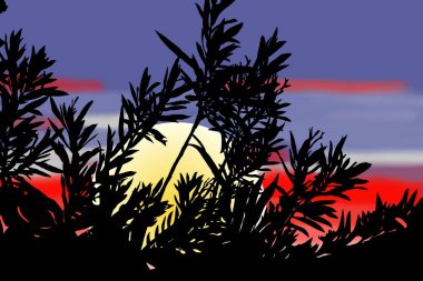 Sabah kırmızı gün doğumu