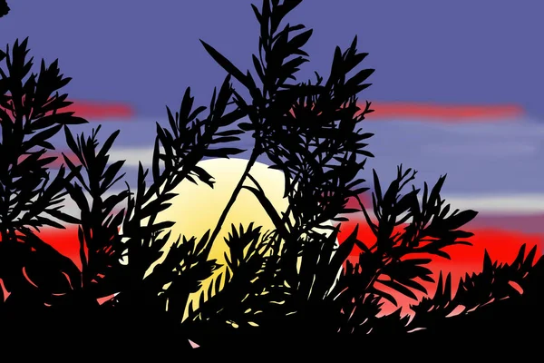 Sabah kırmızı gün doğumu