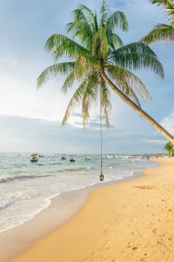 Sahildeki bir palmiye ağacında sallanan salıncak ya da bungee okyanusun arka planına ve gün batımında kayıklara karşı, Sri Lanka