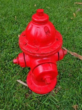 Yeşil çimlerin üzerinde kırmızı bir yangın musluğu.