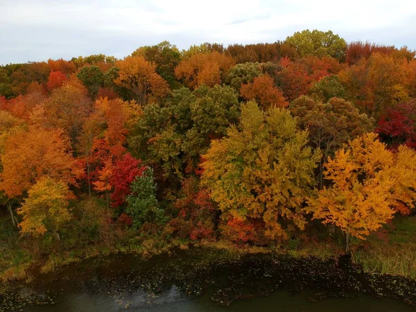 Superbe vue aérienne du feuillage automnal près de Wilmington, Delaware, États-Unis — Photo