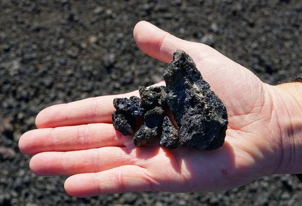 Holding the igneous rock formed from the volcanic eruption at Krafla Lava Field near Myvatn, Iceland