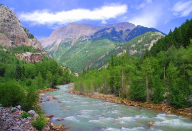 Ormandaki bir nehrin manzarası ve yazın Silverton, Colorado, ABD yakınlarında bir dağ manzarası.