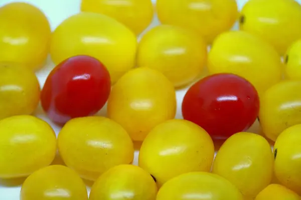 Close up dos tomates cereja vermelho e amarelo — Fotografia de Stock