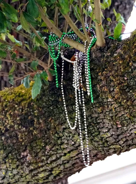 Colorful Beads Trees Street New Orleans Louisiana — Stock Photo, Image