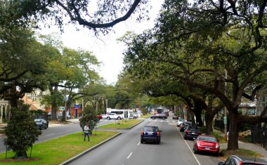 New Orleans, Louisiana, ABD - 4 Şubat 2020 Bahçe Bölgesi yakınlarında güzel meşe ağaçları olan cadde