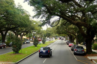 New Orleans, Louisiana, ABD - 4 Şubat 2020 - Garden District yakınlarındaki canlı meşe ağaçları ile caddedeki trafik manzarası
