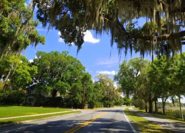 Winter Haven, Florida, ABD yakınlarında meşe ağaçları ve yosunları olan güzel bir yol.
