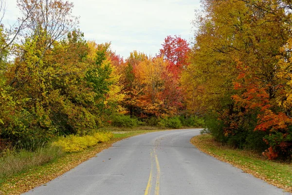 Feuillage Automne Frappant Sur Route Près Wellesley Island State Park — Photo