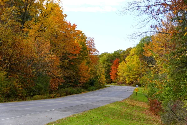 Feuillage Automne Frappant Sur Route Près Wellesley Island State Park — Photo