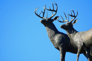 Alexandria Körfezi, New York, ABD - 24 Ekim 2019 Boldt Kalesi 'nin kemerinde boynuzlu geyik heykelleri