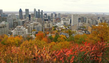 Montreal, Kanada - 25 Ekim 2019 - Royal Dağı 'nın tepesinden şehrin gökdelenlerinin manzarası, çarpıcı düşen yapraklarla çevrili.
