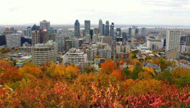 Montreal, Kanada - 25 Ekim 2019 - Royal Dağı 'nın tepesinden şehrin gökdelenlerinin manzarası, çarpıcı düşen yapraklarla çevrili.