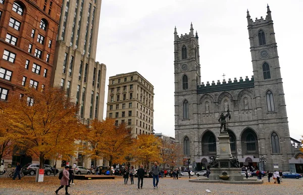 Montreal, Kanada - 28 Ekim 2019 - Place d 'Armes Meydanı yakınlarında sonbahar yeşillikleriyle çevrili Notre Dame kilisesi ve binaların manzarası