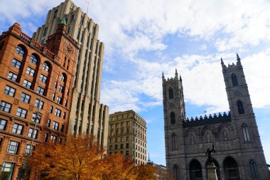 Montreal, Kanada - 28 Ekim 2019 - Place d 'Armes Meydanı yakınlarında sonbahar yeşillikleriyle çevrili Notre Dame kilisesi ve binaların manzarası