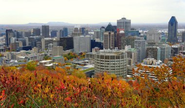 Montreal, Kanada - 25 Ekim 2019 - Royal Dağı 'nın tepesinden şehrin gökdelenlerinin manzarası, çarpıcı düşen yapraklarla çevrili.
