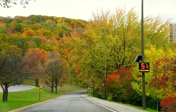 Montréal Canada Octobre 2019 Une Route Surplombant Les Superbes Couleurs — Photo