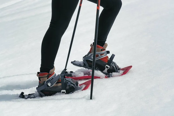 Wandern mit Schneeschlägern — Stockfoto